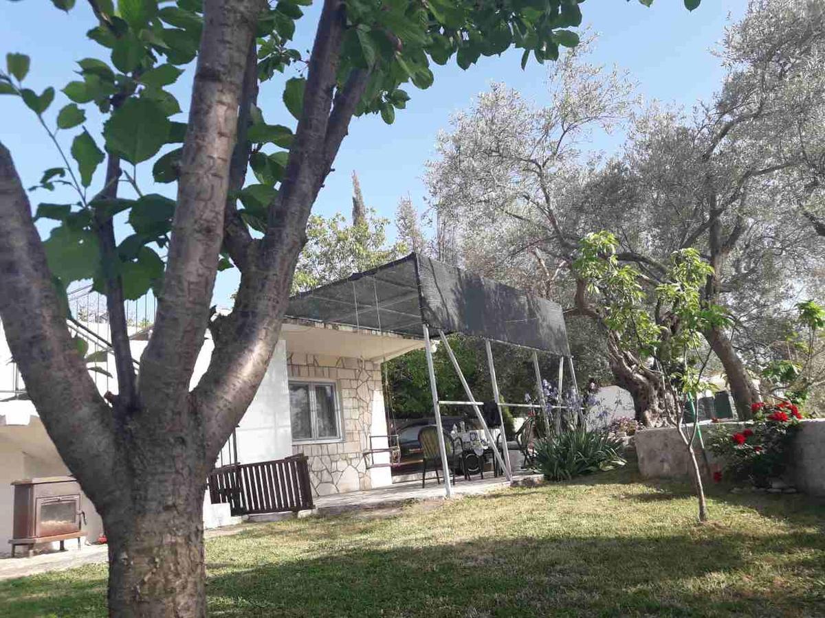 Apartman Nikocevic 多布拉沃达 外观 照片